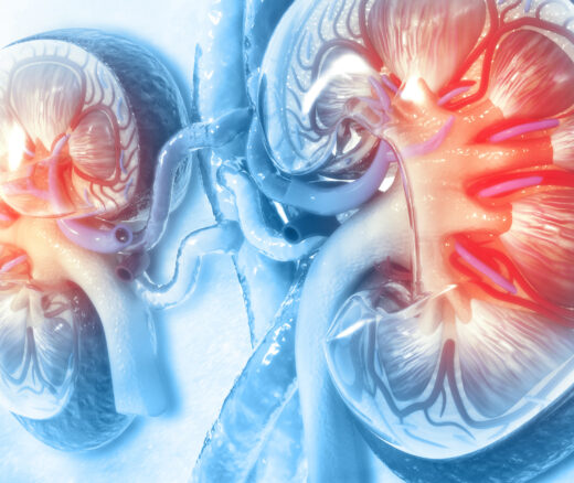 A graphic showing two kidneys