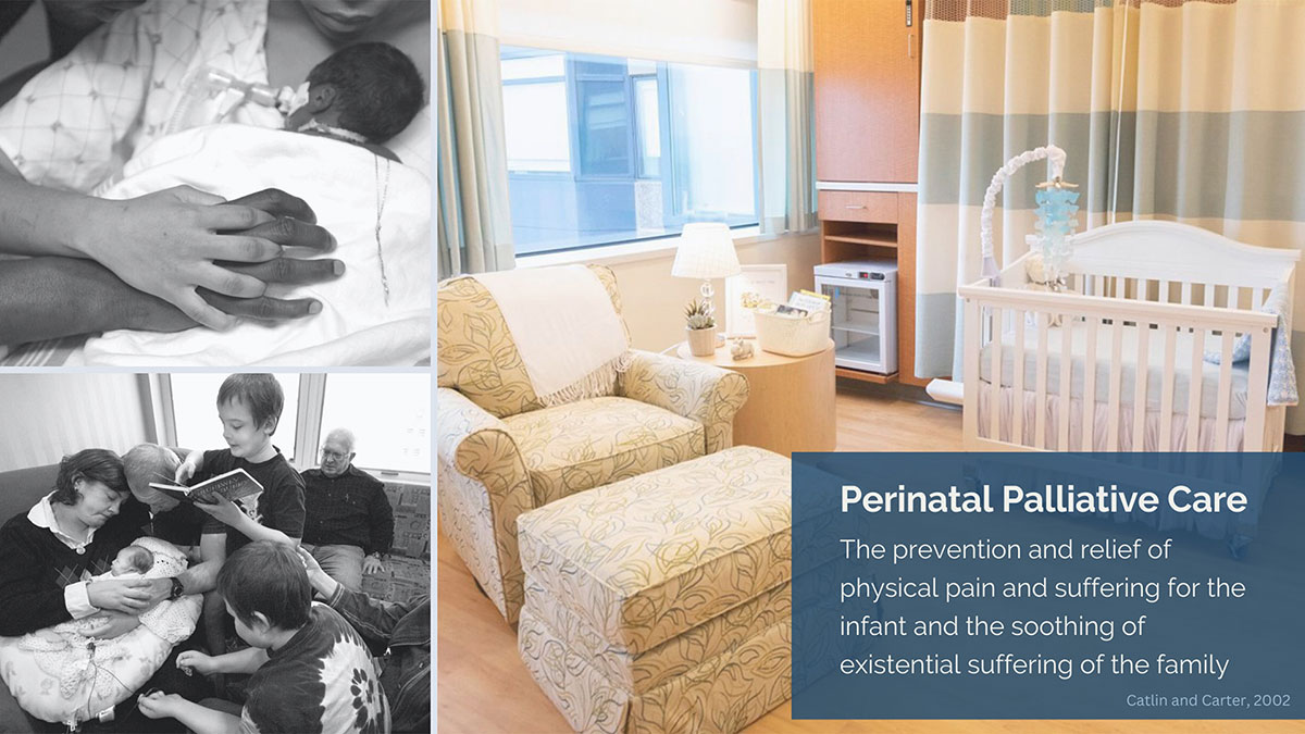 How Well Do Fetal Care Centers Meet the Needs of Highly Complex ...
