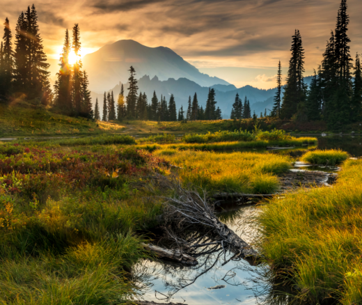 A landscape during sunset in Washington State with Mt. Rainier in the background.