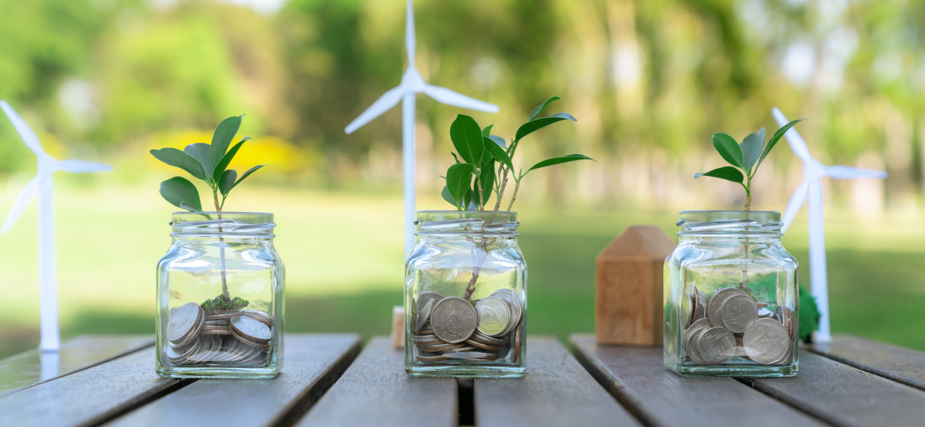 Three small glass containers with coins and a growing plant.