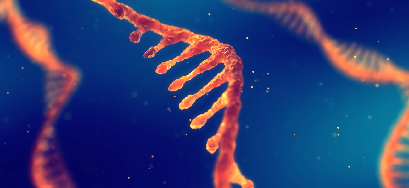 Single strand ribonucleic acid, RNA research and therapy.
