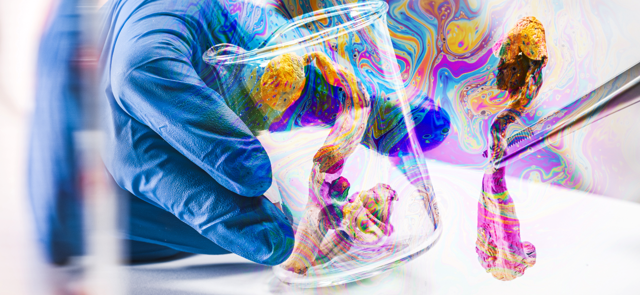 Magic Mushrooms with psychedelic colors in laboratory.