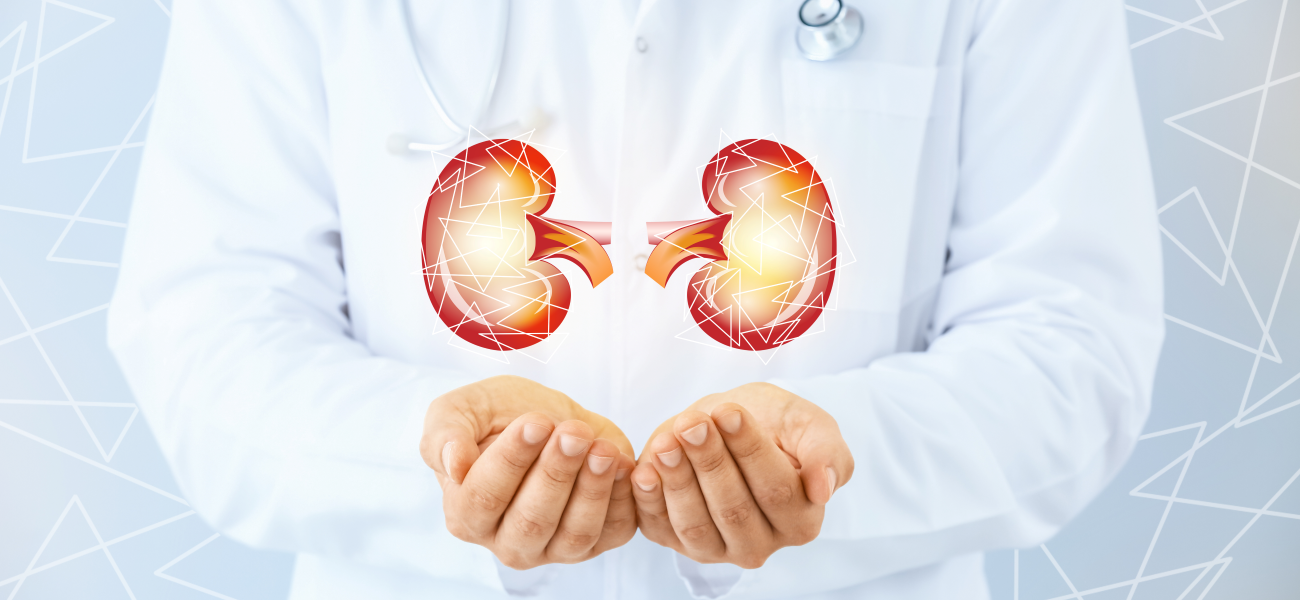 An illustration of a doctor holding kidneys