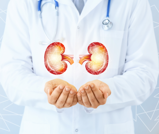An illustration of a doctor holding kidneys